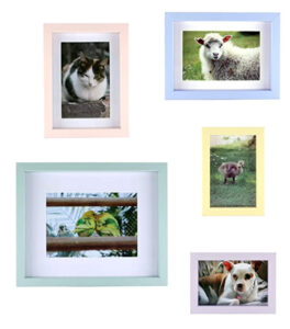photo wall
